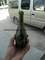 Mini Champagne Bottle Wine Bottle Glass Bottle