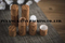 30ml Glass Bottle with Painted Color with Roll on